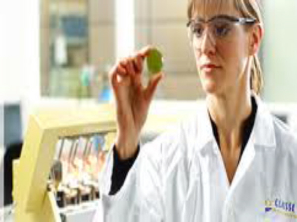 Bead Production for XRF Analysis